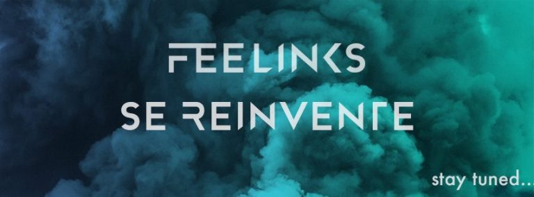 feelinks se réinvente